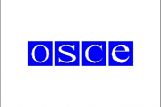 Ирина Яровая: Россия рассматривает ОБСЕ как важный механизм