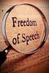 МИД РФ: разоблачения Сноудена высветили существенные ограничения свободы слова и СМИ в ЕС