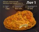 Калининградский янтарный комбинат выставит на аукционе образцы редкого янтаря
