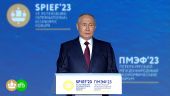 Владимир Путин: скоро Украина перестанет использовать собственную технику