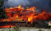  В американском штате Нью-Джерси из-за лесного пожара эвакуированы жители 620 домов