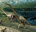 Британские ученые: динозавры не вымерли, а превратились в птиц