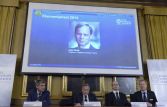 Нобелевская премия по экономике присуждена за "анализ силы рынка и регулирования"