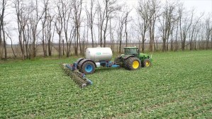 Подкормка озимого рапса на зерно в Белоруссии перевалила экватор