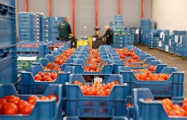 Экспорт белорусской сельхозпродукции возрос