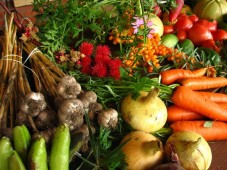В Белоруссии 28 субъектов хозяйствования занимаются органическим производством