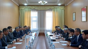 Топографические группы обсудили и обменялись предложениями по описанию прохождения линии кыргызско-таджикской госграницы